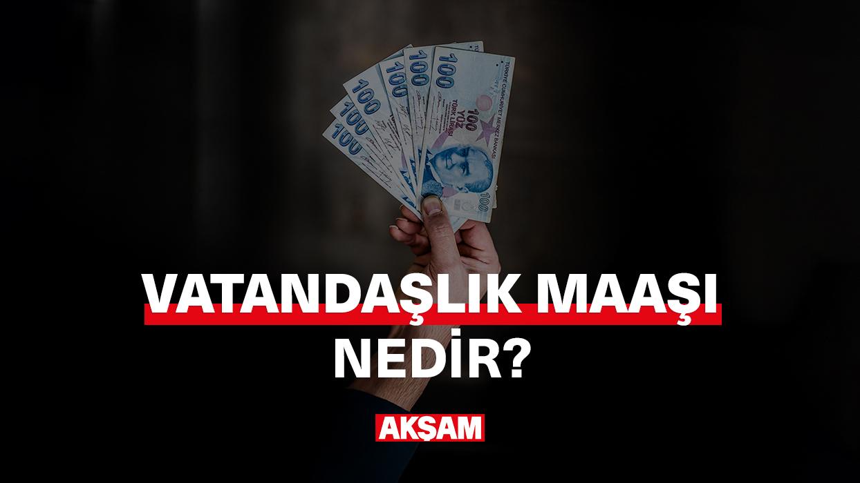 Vatandaşlık maaşı nedir, kimler başvurabilir?