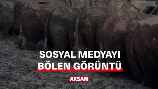 Sosyal medyayı bölen görüntü