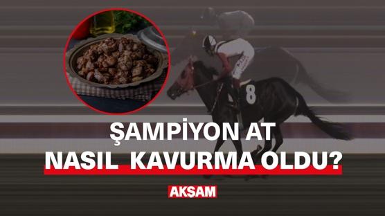 Şampiyon at nasıl kavurma oldu?