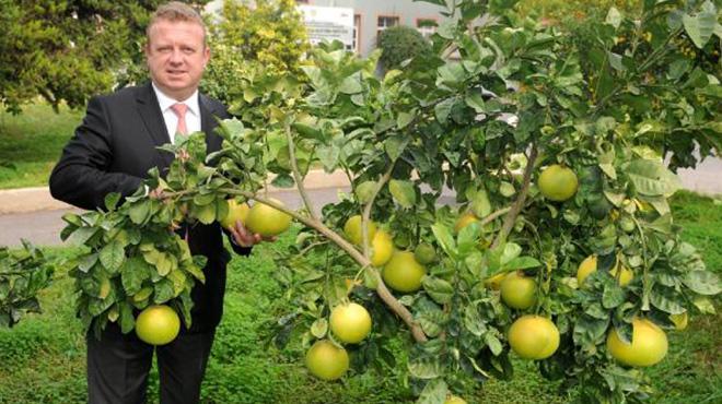 Türkiye'de sadece Antalya'da yetişiyor!