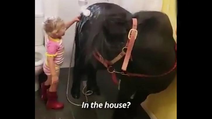 Minik Kız, Tayı Evlerinin Banyosunda Böyle Yıkadı