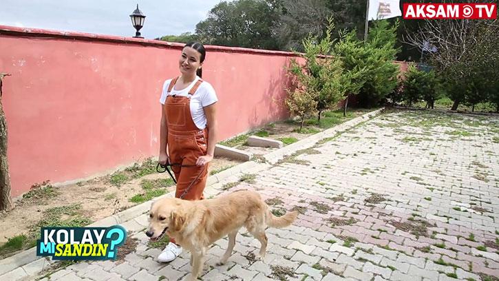 Köpek eğitmeni olmak kolay mı?