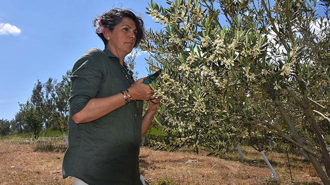 Beyaz yakalı yönetici çiftçi oldu