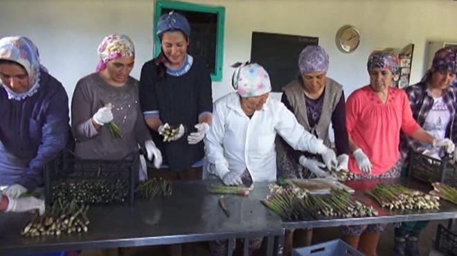 New York'ta yediği kuşkonmazla hayatı değişti