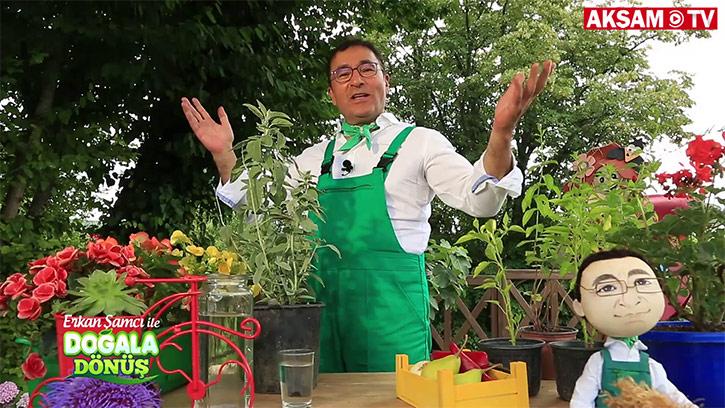 Ev koşullarında bitki yetiştirirken nelere dikkat edilmeli?