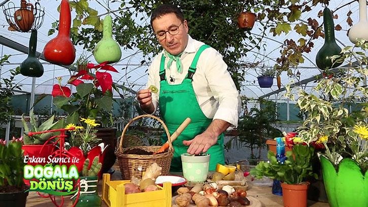 Evde Tohum Üretimi Nasıl Yapılır? #DoğalaDönüş