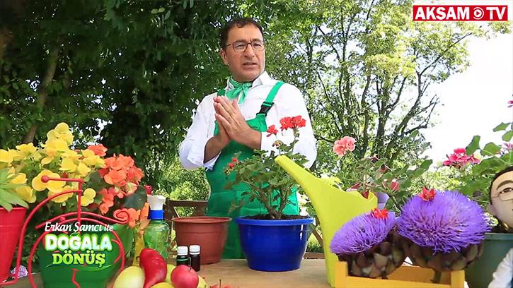 Çiçek Bakımında Doğru Bilinen Yanlışlar Neler?