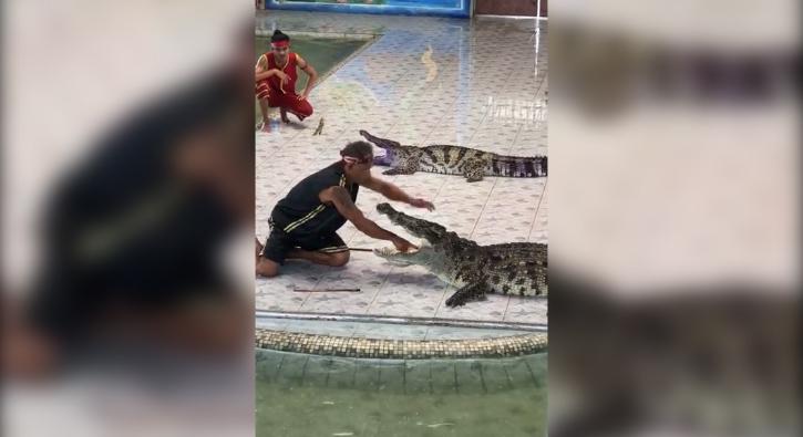 Timsahın boğazına kolunu soktu