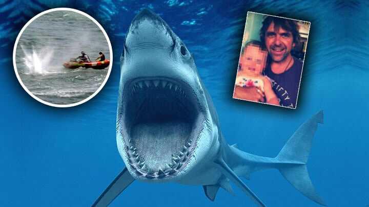 Kpek bal  jaws  saldr  polis  deniz  ate fotoraflar resimleri