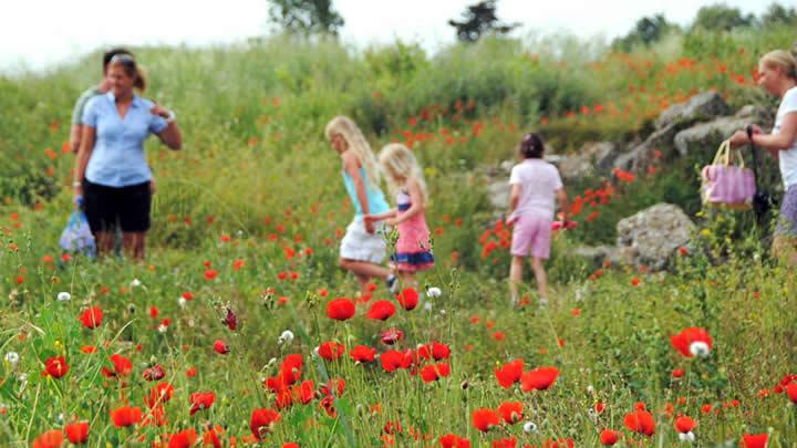 Turistler bu gezilere byk ilgi gsteriyor