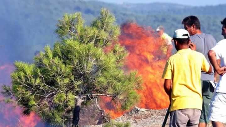 anakkale ve Bodrum yanyor