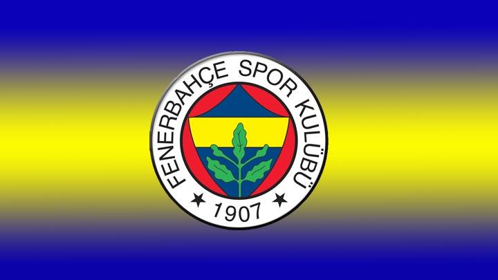 Fenerbahe son dakika transfer haberleri 2013