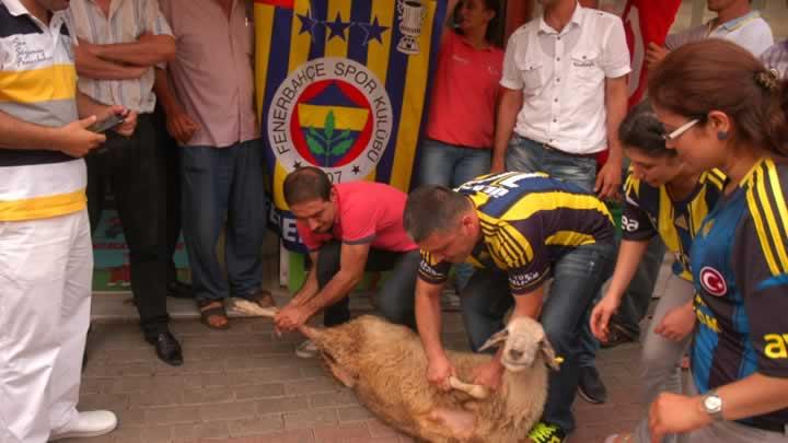 Aykut Kocaman istifasna 'kr kurban' kestiler