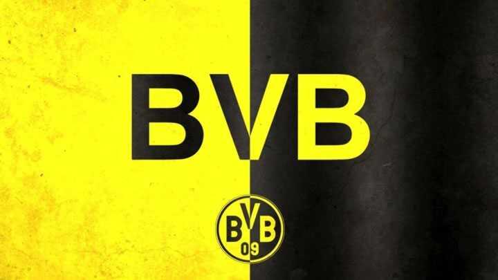 bursaspor  borussia dortmund  hazirlik maci  yapacak  almanya  mac  ozel mac fotoraflar resimleri