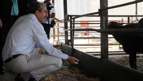 Bakan Mehdi Eker peynir fabrikasnda 