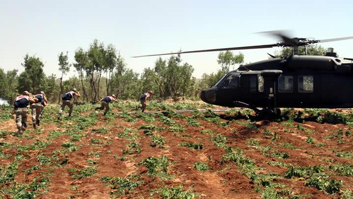 Diyarbakr Lice'de dev uyuturucu operasyonu, inanlmaz rakam