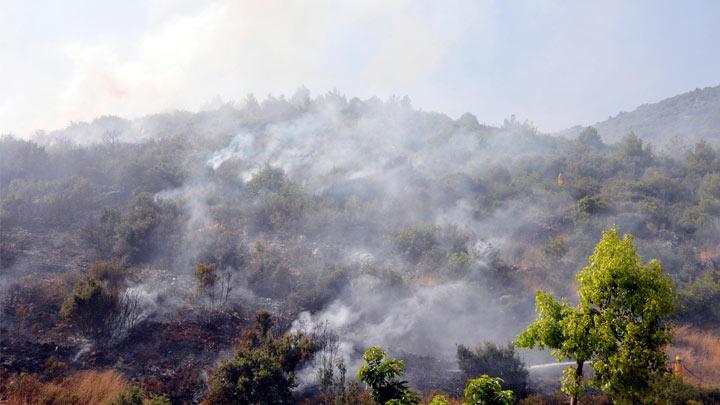 Alanya'da korkutan yangn