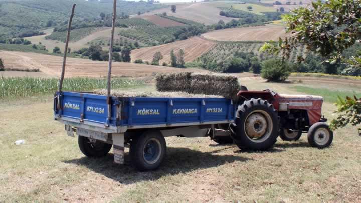 Sakarya'da yaral bulunan ifti hayatn kaybetti