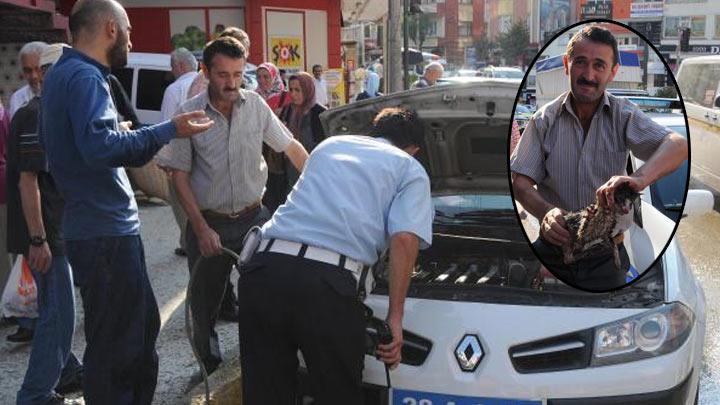 Polis aracnda kedi kurtarma operasyonu