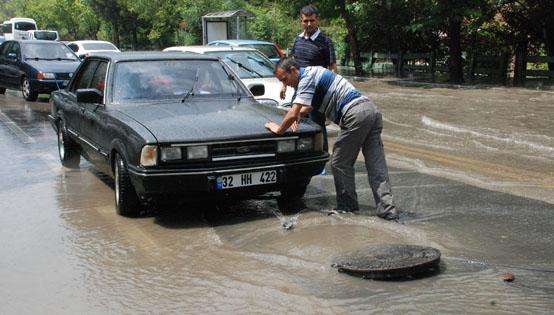 Isparta'da ya hayat fel etti 