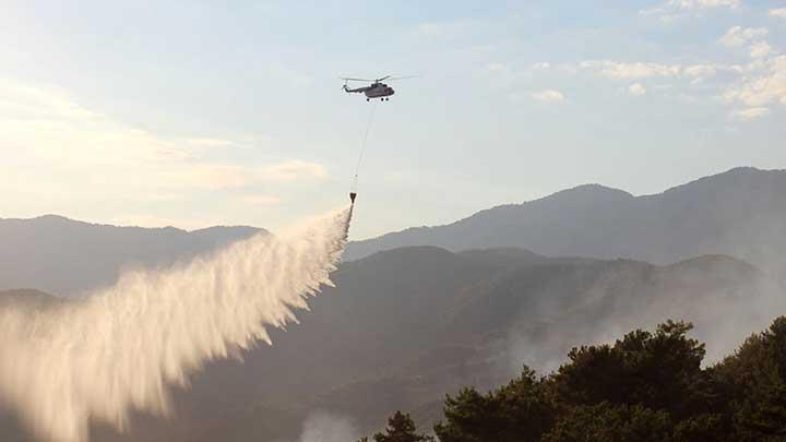 Alanya'da orman yangn