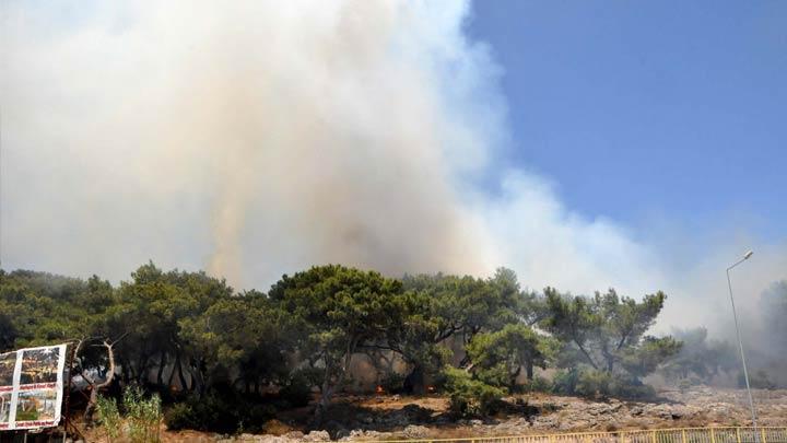 Antalya'da orman yangn