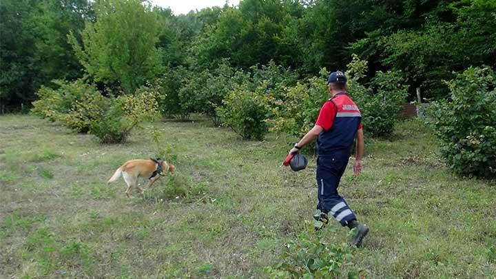 Fndk bahesinde kaybolan 77 yandaki kadn aranyor