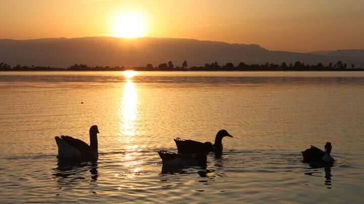 0 fotoraflar resimleri