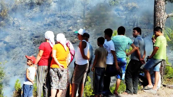 Cenazeyi brakp yangna kotular