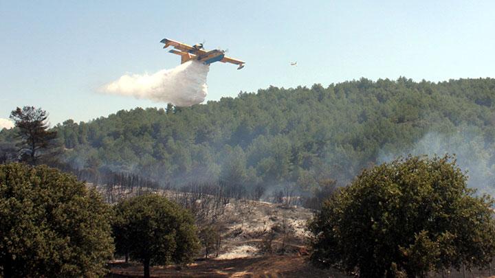 anakkale'de orman yangn