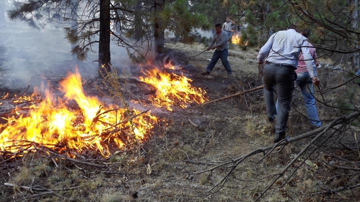 Isparta'da 30 hektar amlk kl oldu