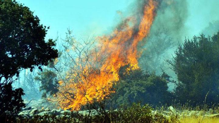 Bodrum'da korkutan yangn