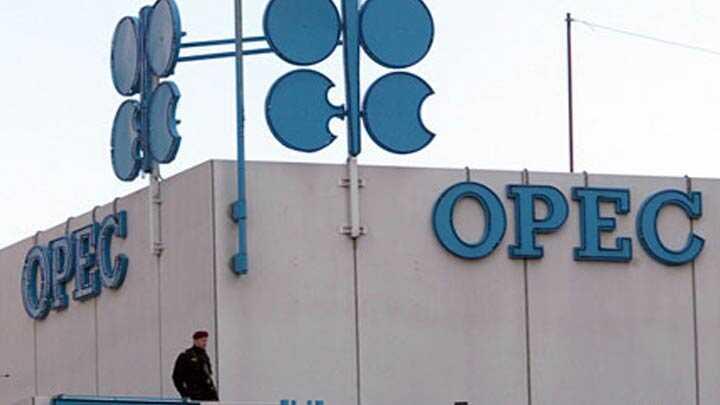 OPEC'ten Msr'a mali destek