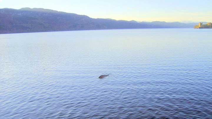 Loch Ness canavar bakn ne kt!