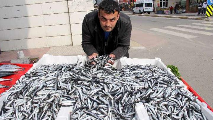 Bayram ncesi hamsi mjdesi