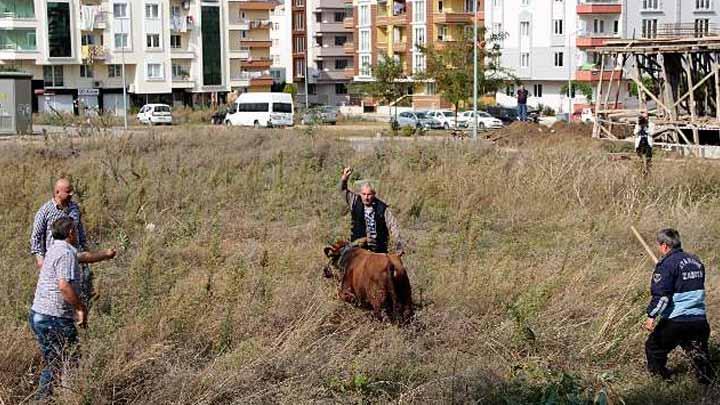 Bugn neler oldu" te gnn zeti... 