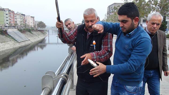 Asi Nehri'nde balk lmleri balad