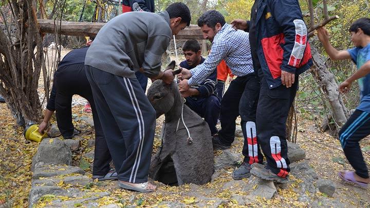 Adana'da eek kurtarma operasyonu