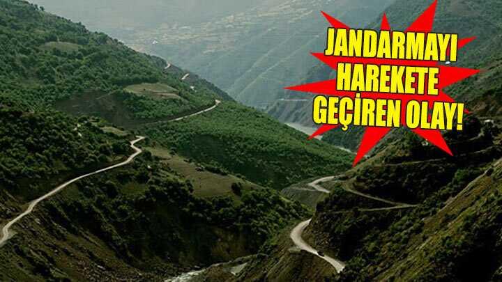 Zigana Da'nda scak saatler!