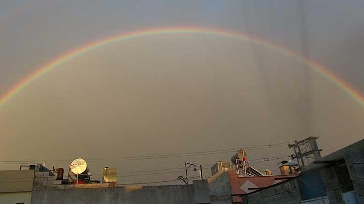 Kilis'te gkkua gzellii