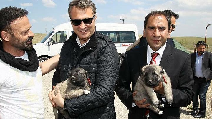 Orman'n Kangal sevgisi