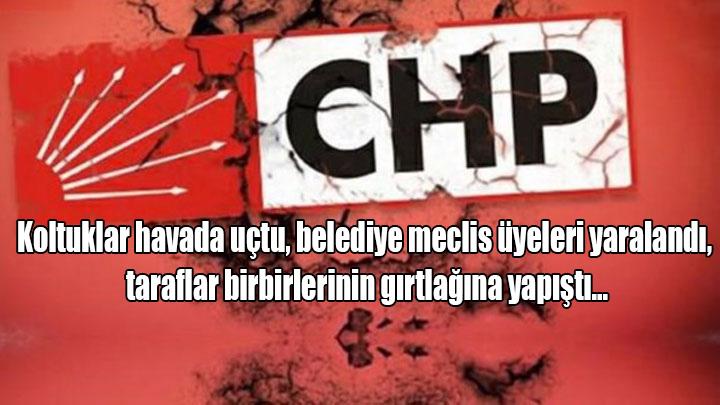 CHPde byk kavga