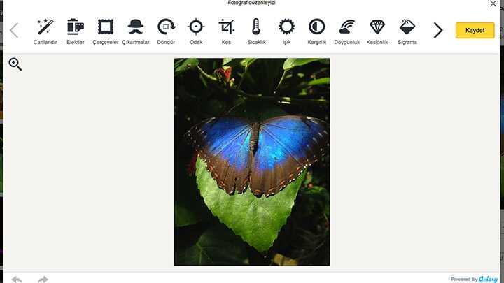 yandex  disk  fotograf  duzenleme fotoraflar resimleri