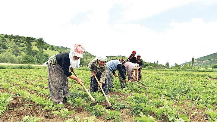 22 bin esnaf ve iftiyi ilk kez bankaclkla tantrd 