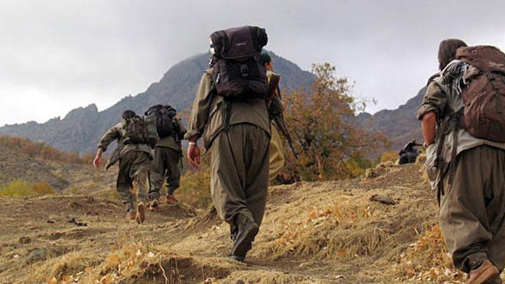 PKK'ya giderken yakalandlar