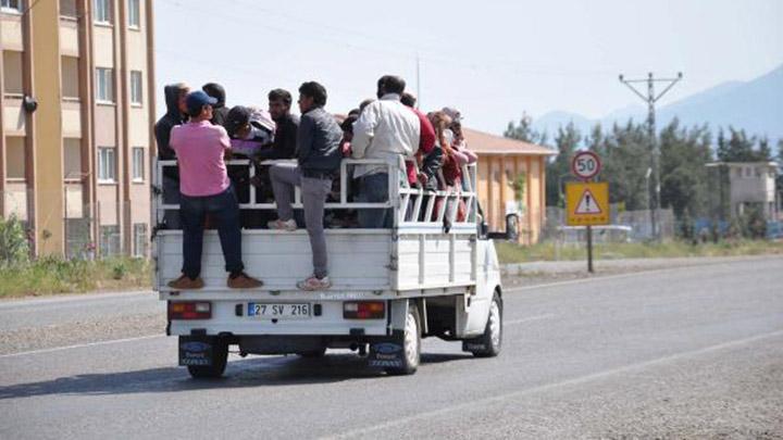 Kamyonet kasasnda tehlikeli yolculuk