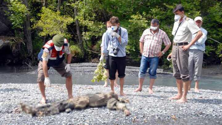 Antalya'da rm erkek cesedi bulundu