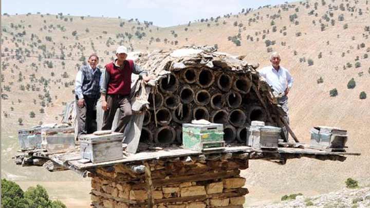 Tarihi serenler yok oluyor 