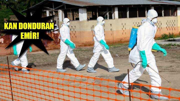 Bat Afrikada Ebola salgn iin acil durum