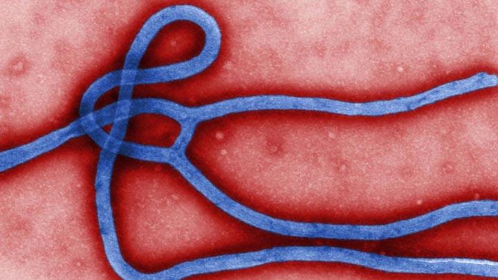 Bulgaristandan Ebola aklamas